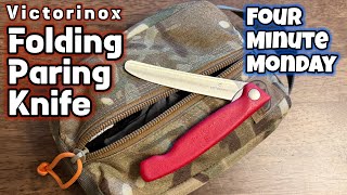 Elevate your camp meal prep with the Victorinox Folding Paring Knife
My favorite prep knife for my camp kitchen. The Victorinox Folding Paring Knife. Perfect and portable for all your camping cooking prep needs.
Amazon Associates Links
Straight Edge - https://amzn.to/3VT9QX0
Serrated Edge - https://amzn.to/42uuQXI
#campcooking #victorinox #swissarmyknife #bushcraftcooking Elevate your camp meal prep with the Victorinox Folding Paring Knife