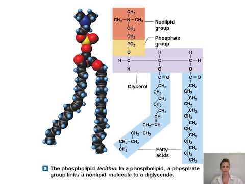 Chemistry Part 2.4
