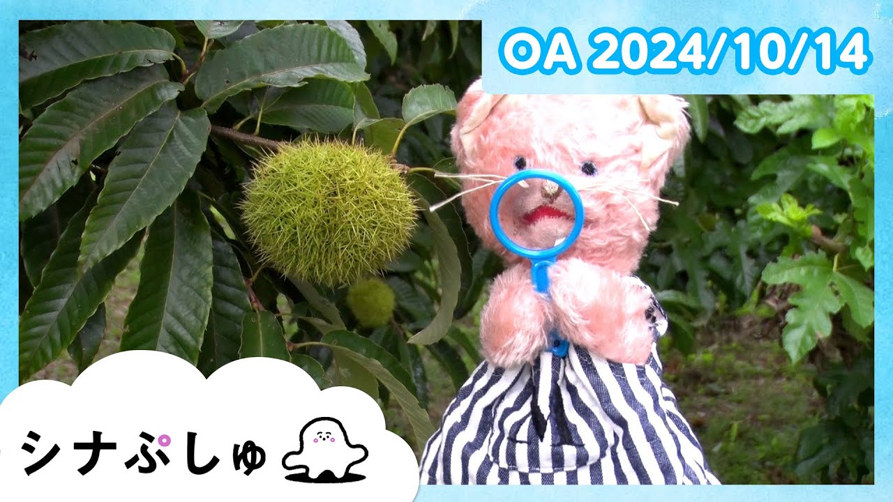 ぷしゅ❇️ 赤ちゃんが喜ぶ】シナぷしゅ公式24/10/14│赤ちゃんが泣き止む・知育の