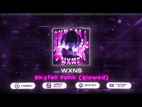 WXNS GANG Skyfall Funk Slowed