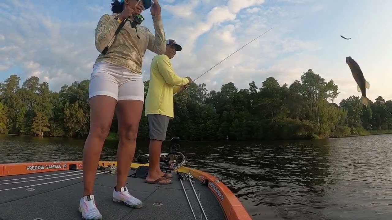 Santee Cooper Bass Fishing