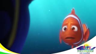 Buscando A Dory