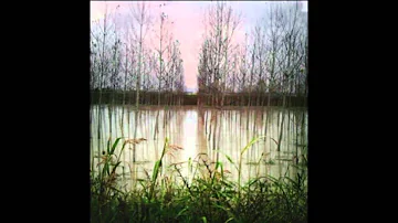 Dove nasce e sfocia il fiume Secchia?