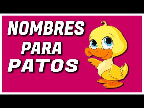 NOMBRES PARA PATOS