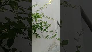 విడిపోవడం పరిష్కారం కాదు.. కలిసి ఉండటమే నిజమైన ధైర్యం! #apvillagetech