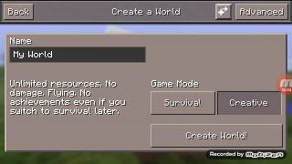 Minecraft soft Play 2 kız evi