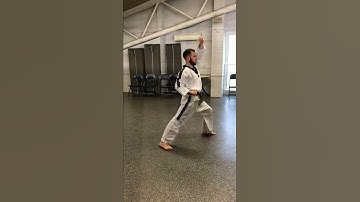 9th Kup   Walking stance, Low block, rising block SV