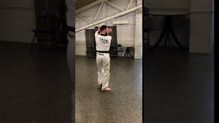 9th Kup   Walking stance, Low block, rising block SV