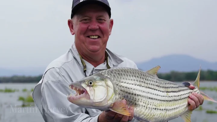 Baines' River Camp - Zambia