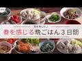 #80【３日間の夕飯献立】春野菜が登場！気分が上がる春の晩ごはんレシピ３日間｜春ごぼう｜春キャベツしゅうまい｜菜の花