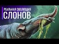 Реальная Эволюция Слонов. От клыков до бивней