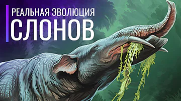 Реальная Эволюция Слонов. От клыков до бивней