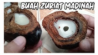 TUTORIAL MEREBUS BUAH ZURIAT (promil)