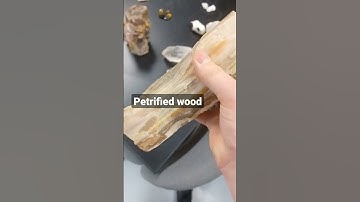 Petrified wood #cursed #meme #minecraft #geology #fossilhunting #fossils