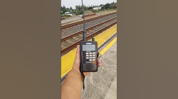 BNSF Coal Train sets off the defect detector #youtube #train #shorts