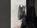 電動車椅子の前輪やば過ぎ!