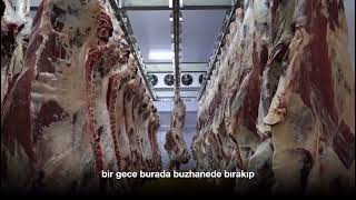 Modern Donanımı Ve Hijyen Standartlarıyla İzmit Merkez Mezbaha