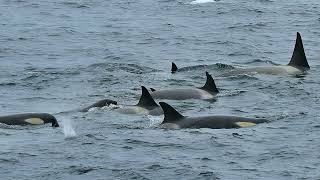 Capturing The Sights In Antarctica With A Libraries Camera