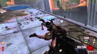 Freefall Survived (Black ops 2 zombies)