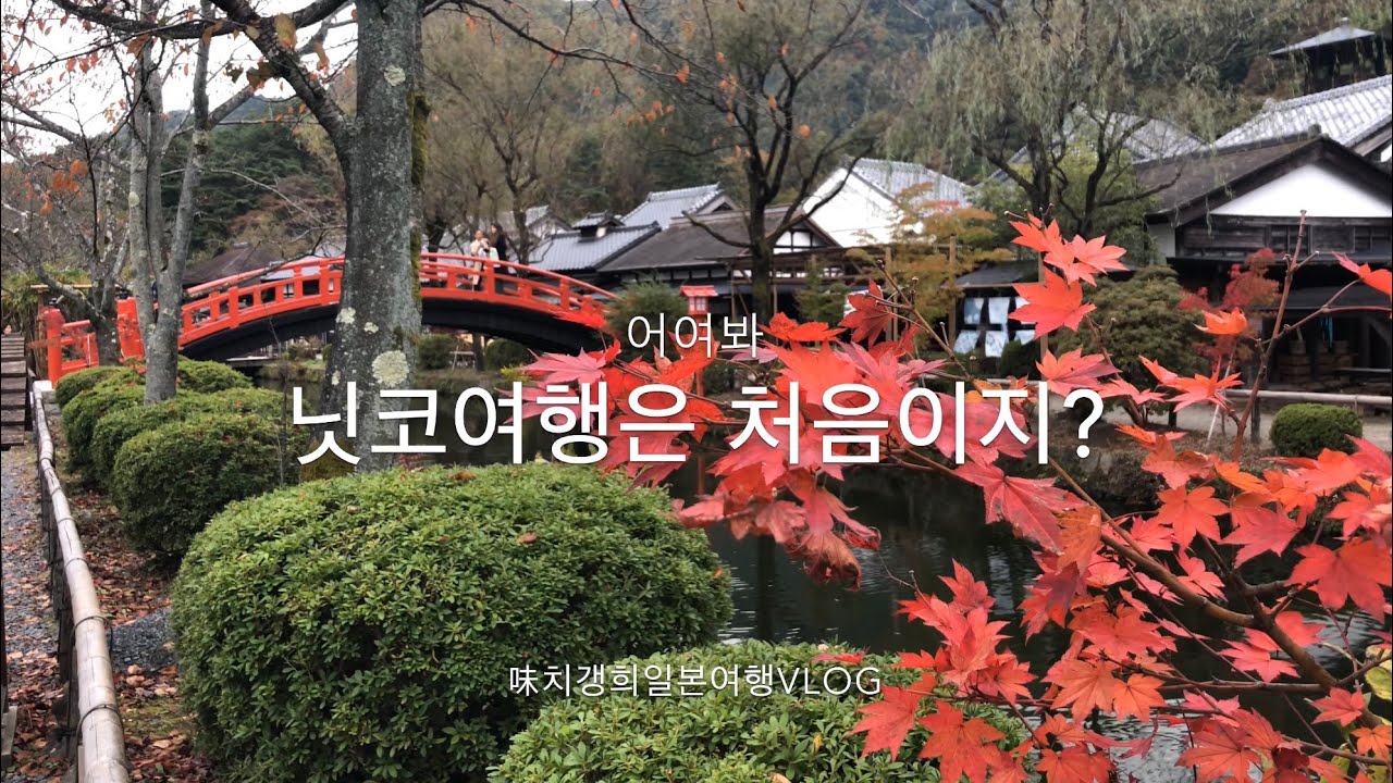 [味치갱희東京표류기]기차타고 떠난 낭만적인 닛코 日光 여행vlog