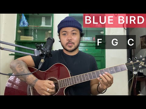 Chord Gampang Blue Bird NARUTO Arya Nara Tutorial Gitar Pemula
