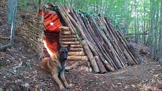 Viking House: Primitive Bushcraft Shelter Rebuild with Hand Tools, Vikings, Wild Camping, Diy