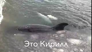 это умирающий Кирилл это умирающий Кирилл