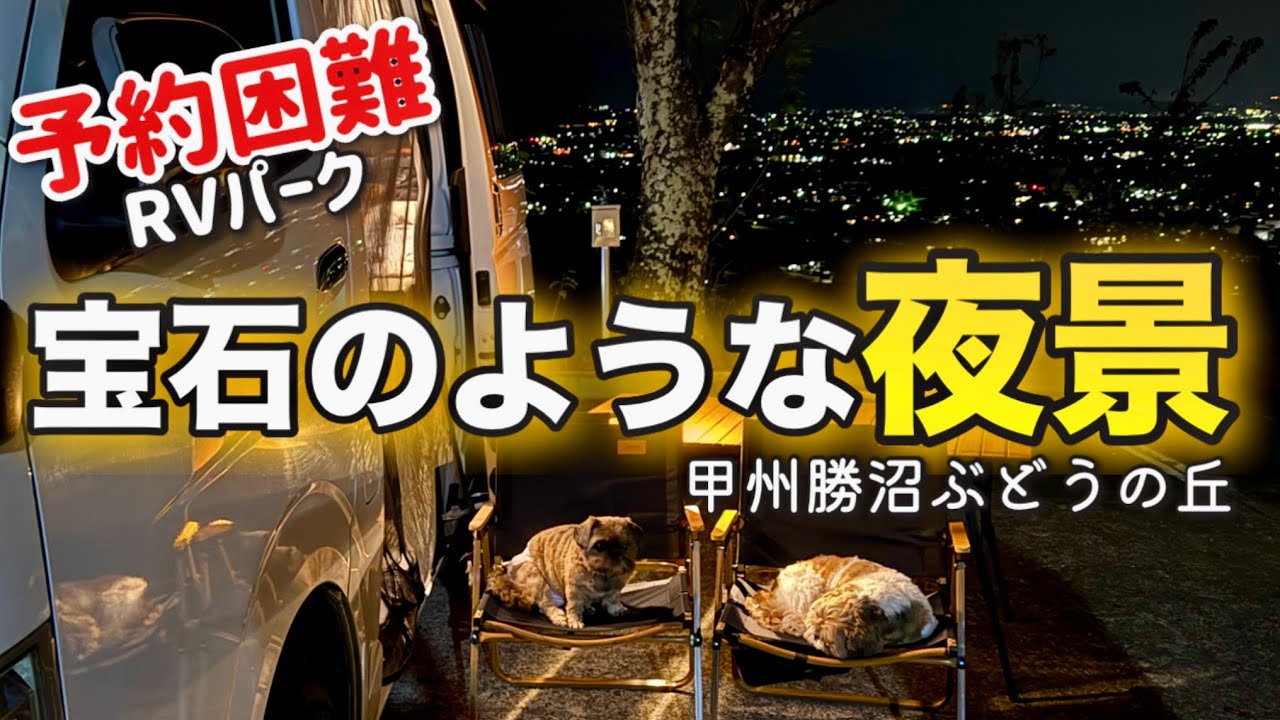 【犬連れ車中泊】温泉やワインが楽しめて夜景も最高✨予約困難なRVパークぶどうの丘