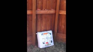 Shooting Test Of The Echo 1 M14