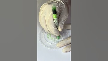 How many circles were drawn? #spirograph #asmr