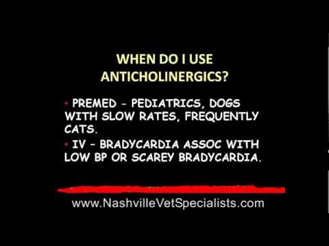 Nashville Vet Specialists, Anesthesia Issues, Part 2