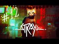 Wo ist Clementine?🐾 #12 - STRAY [LET'S PLAY]