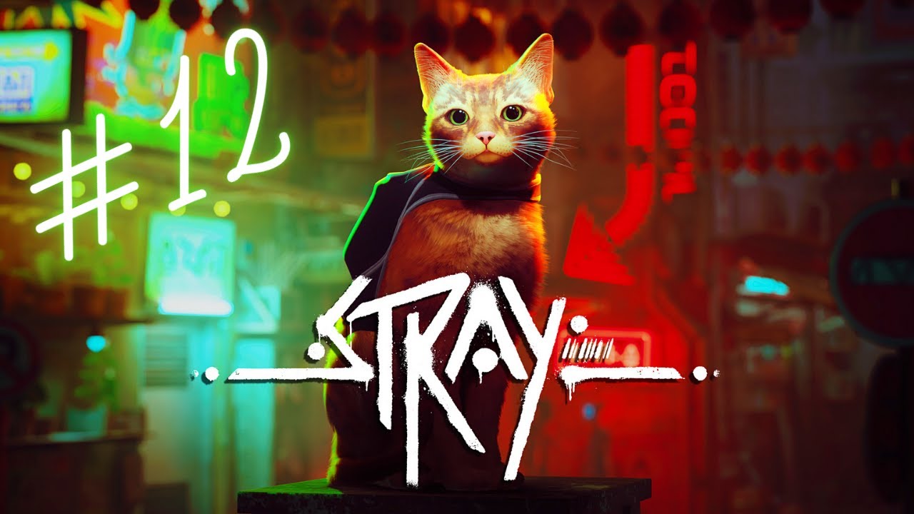 Wo ist Clementine?🐾 #12 - STRAY [LET'S PLAY] - YouTube