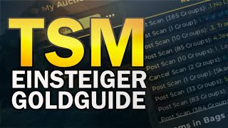WOW TSM GOLD/SETUP Guide | Gold mit TSM verdienen   Erste Schritte mit TSM