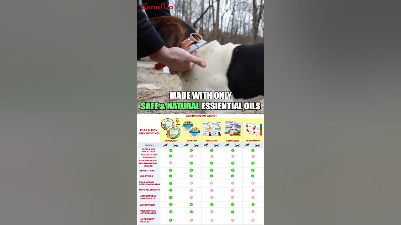 Best Flea and Tick Collar 2023! (Waggie) YouTube