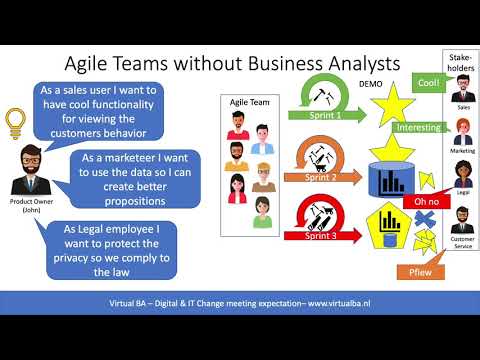 Agile SCRUM Teams without a Business Analyst