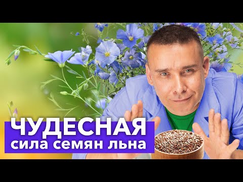 Что будет, если есть СЕМЕНА ЛЬНА каждый день? Только научные факты!