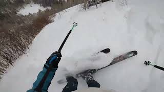 Movement Alp Tracks 98 Demo