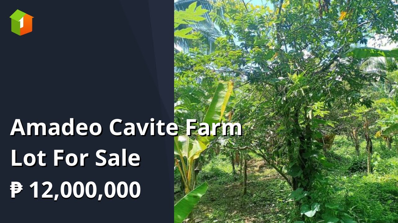 Amadeo Cavite Farm Lot For Sale YouTube