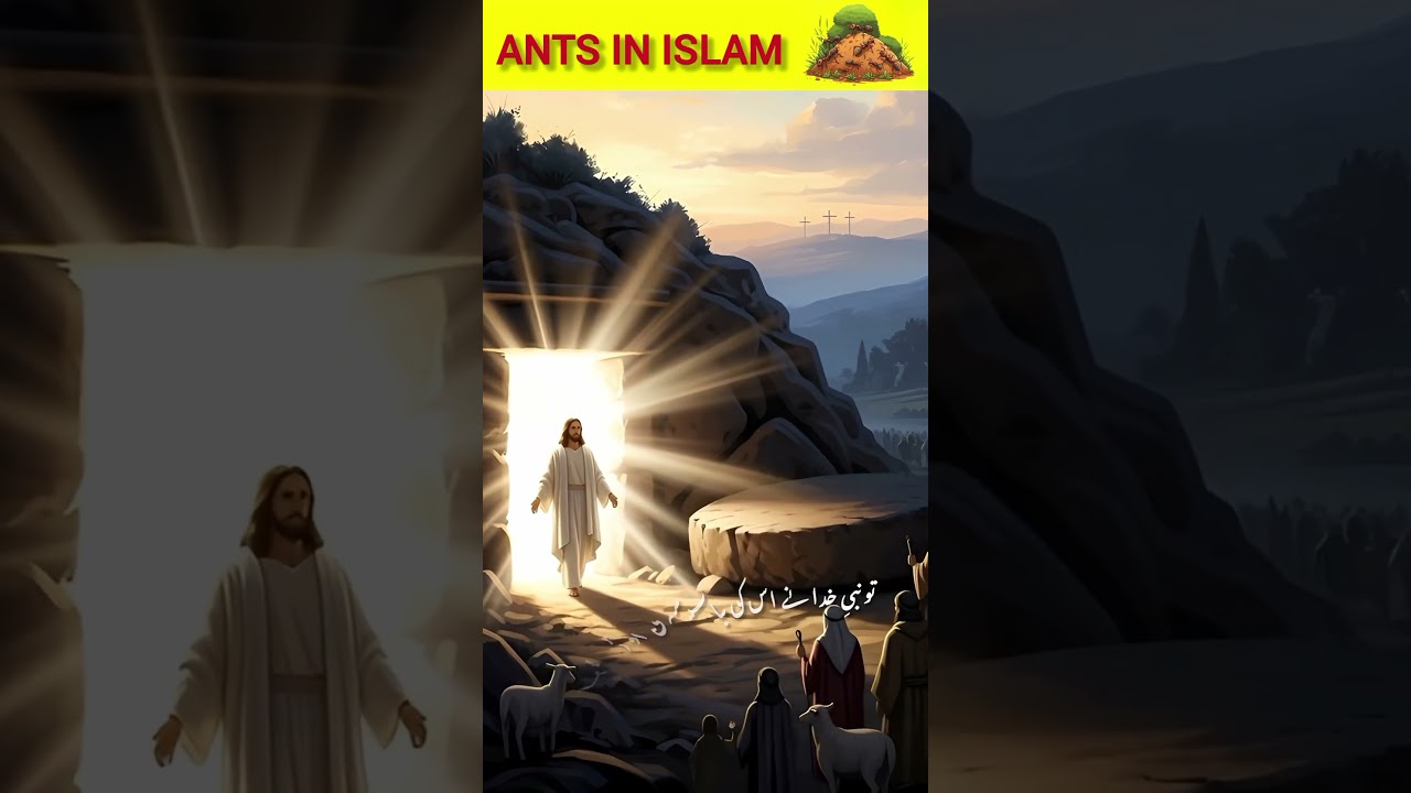 ANTS IN ISLAM🦗🐜