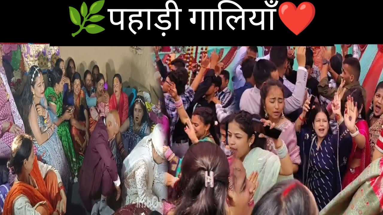 पहाड़ो में ऐसी दि जाती है पहाड़ी गालियाँ😉😅 पहाड़ी गालियों से किया जाता है बारात का स्वागत😂