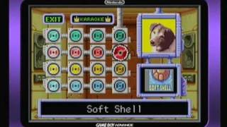 Wario Land 4 [Extra 9] - Sound Room Records - Soft Shell screenshot 3