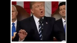 Trump state of the union speech 2019