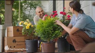 Fast Growing Trees The Easiest Way To Order Plants Online