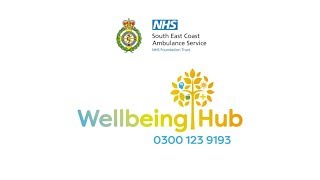 Introducing the Wellbeing Hub