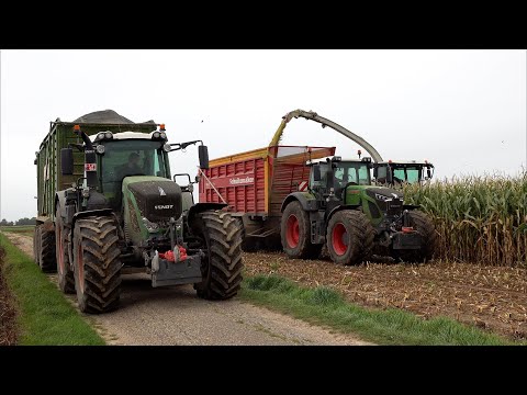 Mais 2025 : LU Steyns | Claas Jaguar 960 | 3 x Fendt 939 | Fendt 936 | Maisernte | corn harvest | 4K