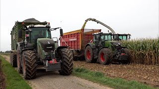 Mais 2025 Lu Steyns Claas Jaguar 960 3 X Fendt 939 Fendt 936 Maisernte Corn Harvest 4K
