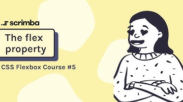 The flex property | CSS Flexbox tutorial