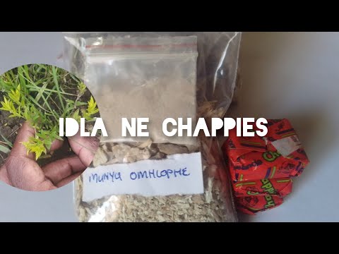 Ngqangendlela Khotha Noma Wudle Nechappies