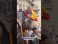 ಕುಮ್ಕಿ ಆನೆಗಳನ್ನು ಆಂಧ್ರ ಪ್ರದೇಶದ #dcm  #pavankalyan  ಅವರಿಗೆ ಹಸ್ತಾಂತರಿಸಿದ ದೃಶ್ಯಗಳು #elephant #dks #dk